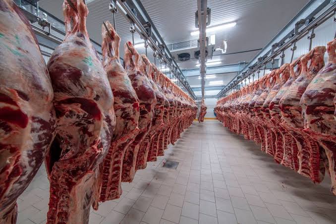 The DIRECT Act, Explained: What Pending Legislation Actually Means for Small Meat Producers Selling Online