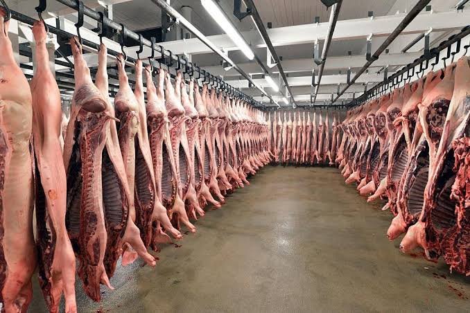 Cold Chain Shipping Costs DTC Meat Profitability Math