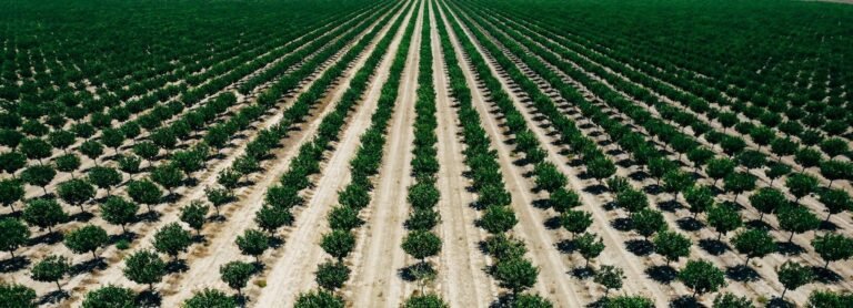 Fertilizer Up 63%, Machinery Up 38%: Why Farm Margins Now Ride on Marketing