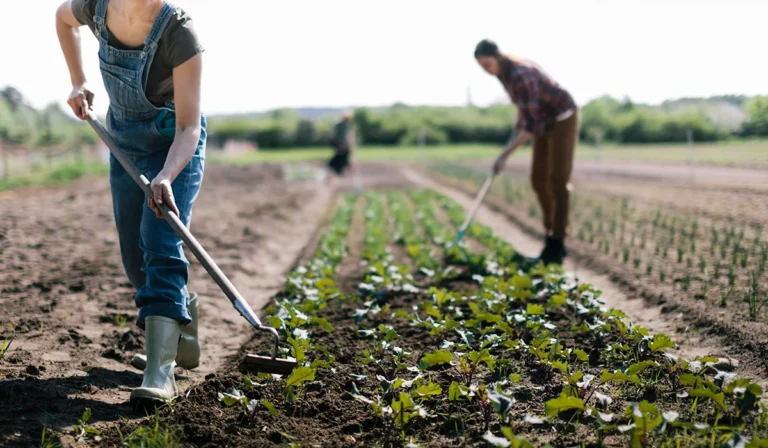 Why Farm Brand Storytelling Is Failing in AI Search, And What to Build Instead