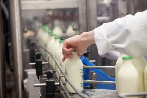 Raw Milk vs. Pasteurized Dairy in a Post-H5N1 Market: How to Build a Brand That Converts Both Audiences