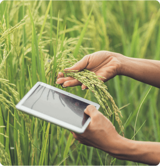Farm Input Cost Inflation Is Forcing Smarter Buyer Targeting How Agribusinesses Are Using Market Research to Protect Margin