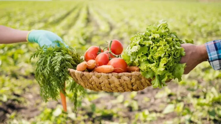 Why Agricultural eCommerce Platforms Built for General Retail Fail at Farm Direct Sales