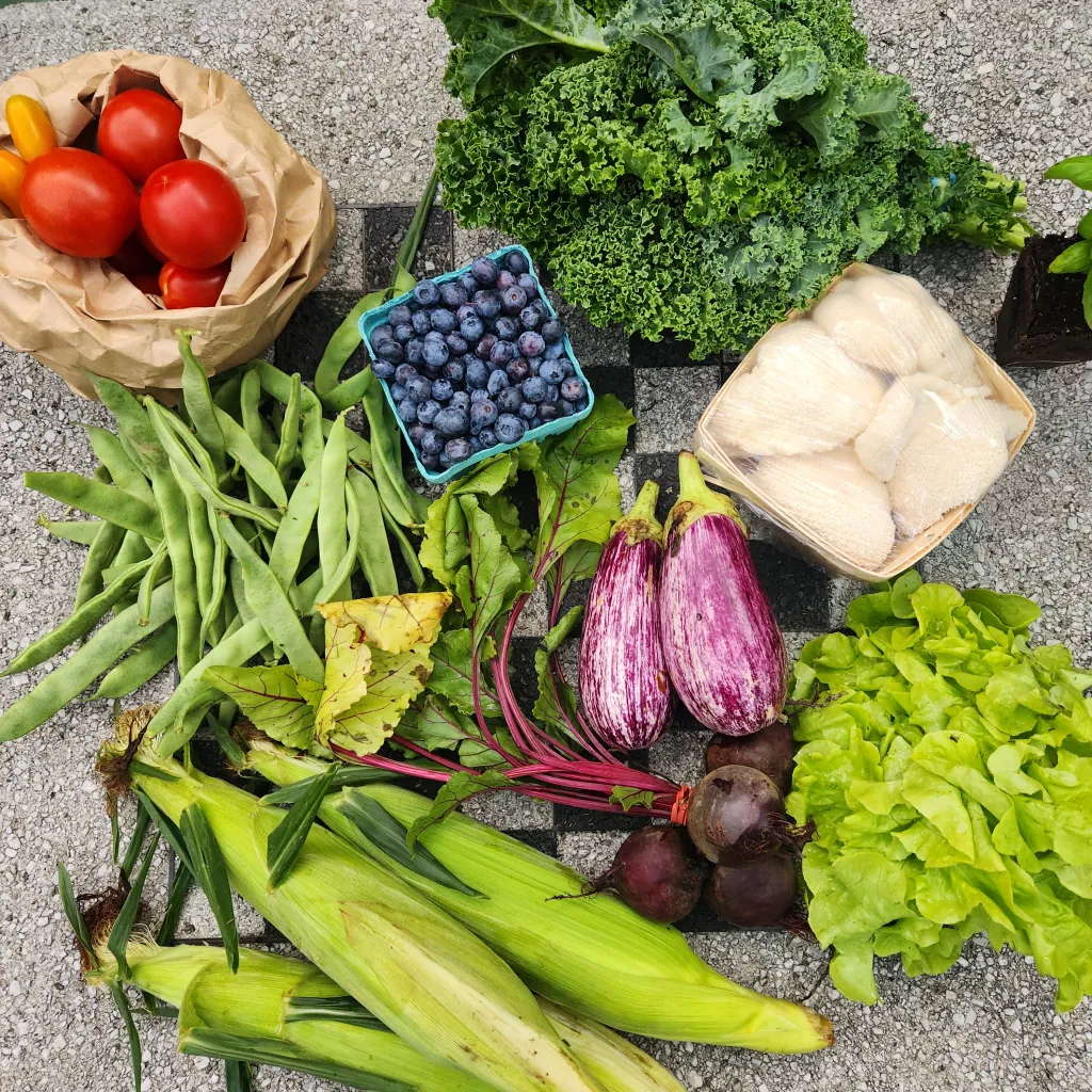 CSA Program Marketing in 2025, Why Traditional Boxes of Veggies Positioning Is Leaving Revenue on the Table