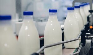 The Federal Milk Marketing Order