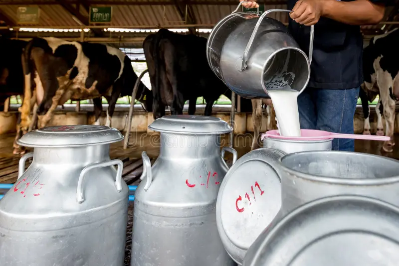 The H5N1 Compensation Gap, Why Some Dairy Farms Are Still Under Resourced to Recover Their DTC Business